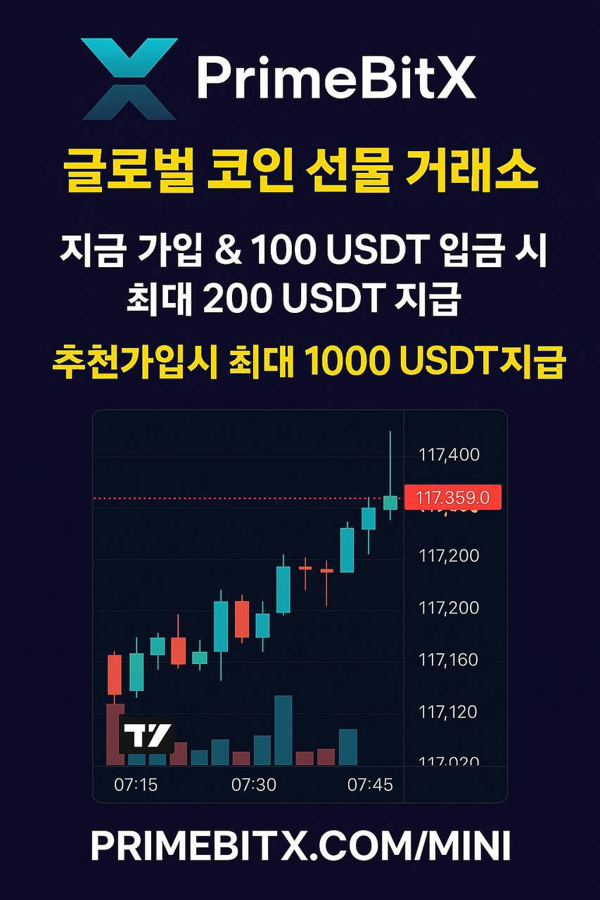 비트코인 코인선물 카지노 이미지