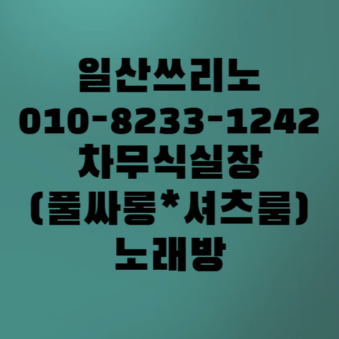 일산 유흥 거리 전경